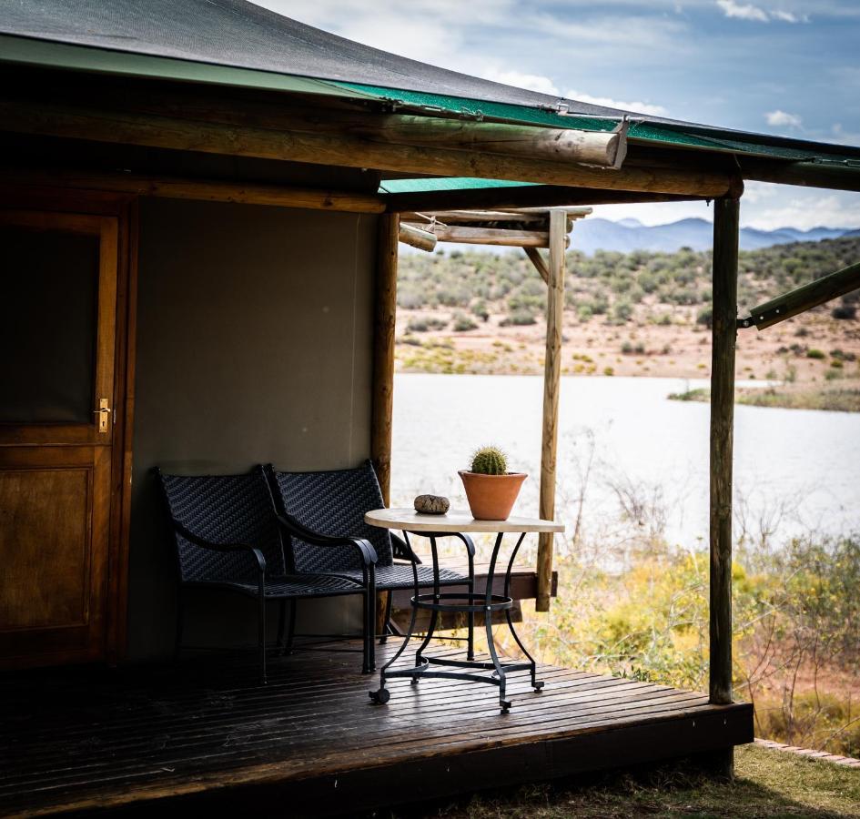 Buffelsdrift Game Lodge 오쇼른 외부 사진