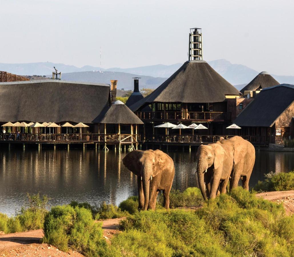 Buffelsdrift Game Lodge 오쇼른 외부 사진