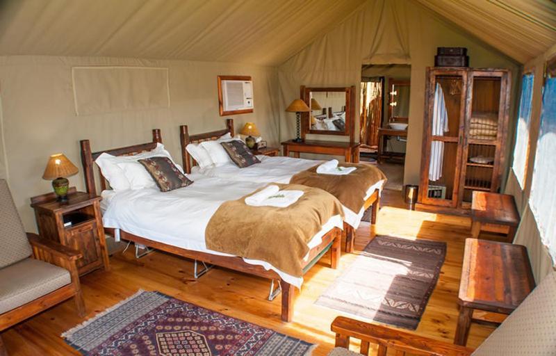 Buffelsdrift Game Lodge 오쇼른 객실 사진